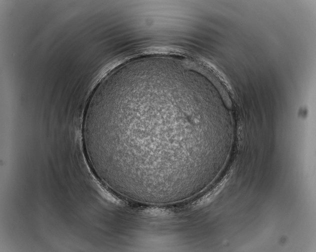 X0000101161033200807111023