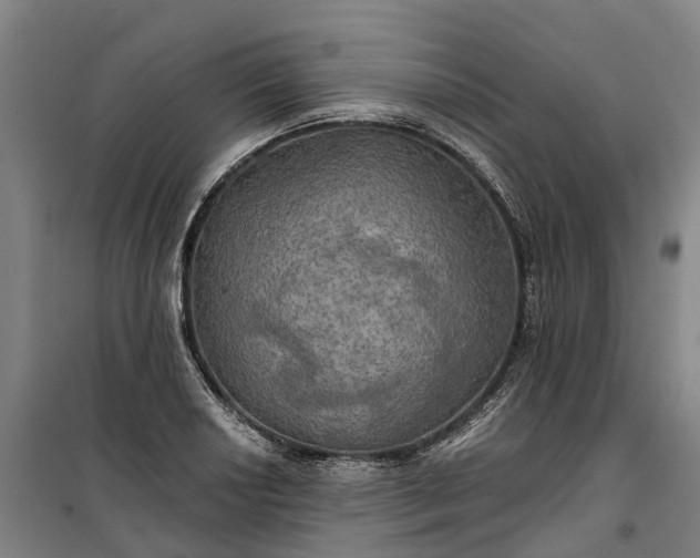 X0000101161034200807111023