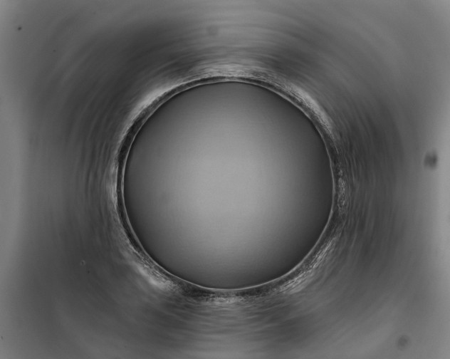 X0000101161035200807111024