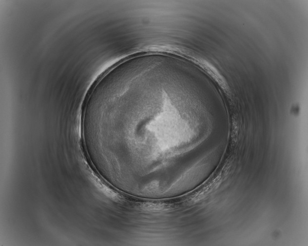 X0000101161036200807111024