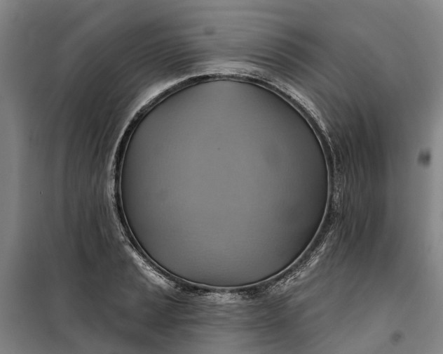 X0000101161037200807111024