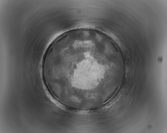 X0000101161038200807111024