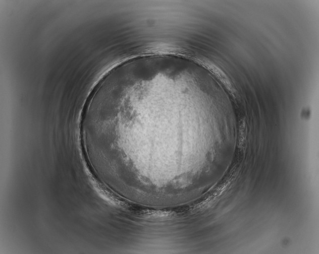 X0000101161039200807111024