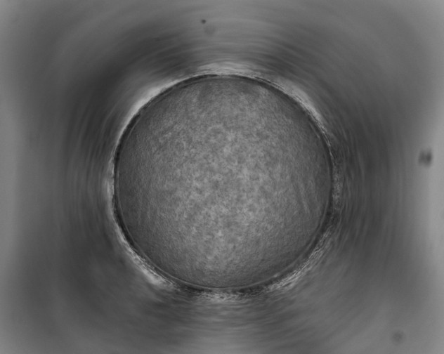 X0000101161040200807111024