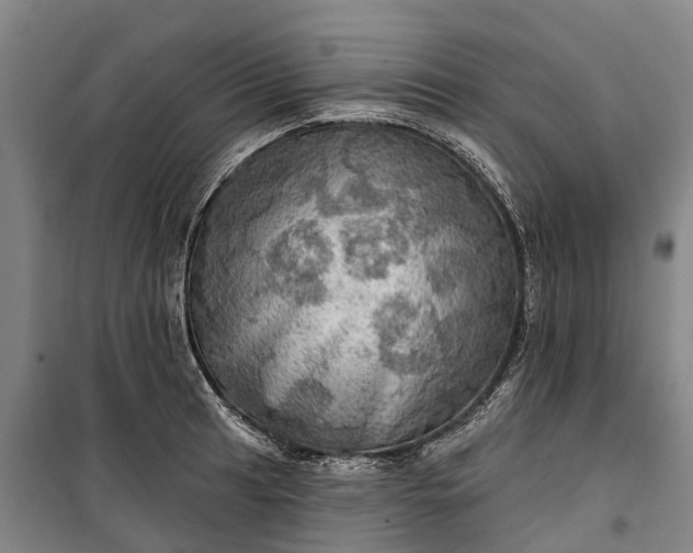 X0000101161041200807111024