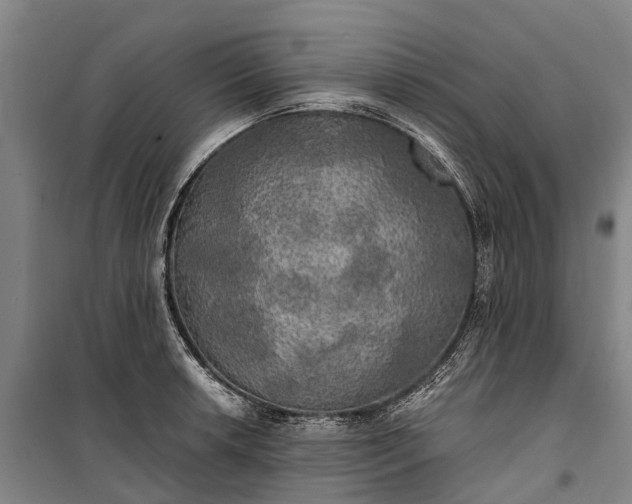 X0000101161042200807111024