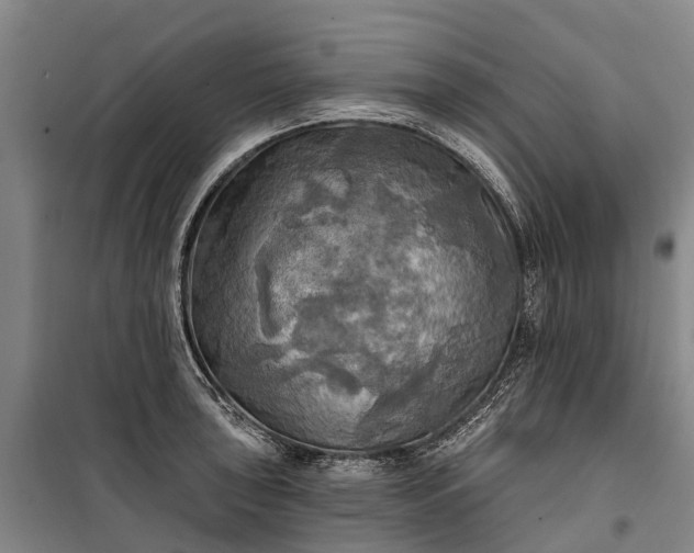 X0000101161043200807111024