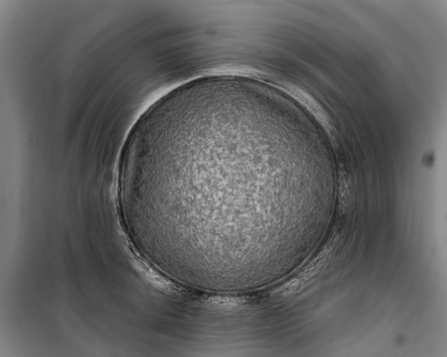 X0000101161044200807111024