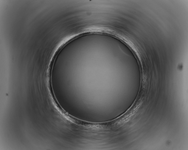 X0000101161045200807111024