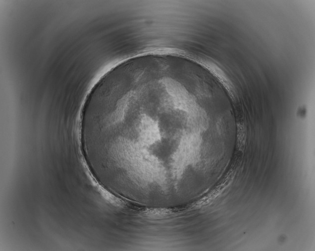 X0000101161046200807111024