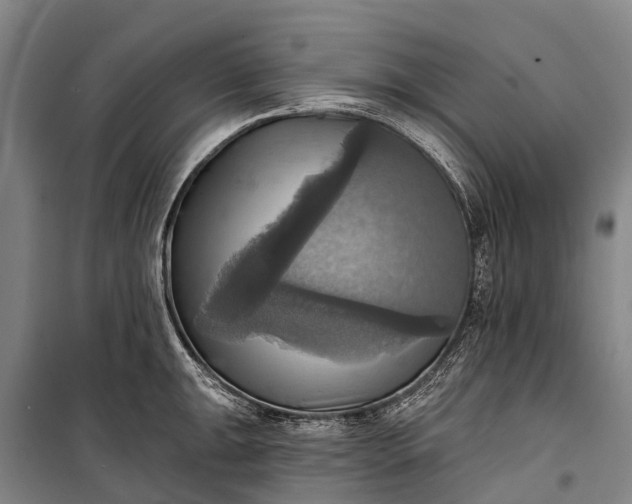 X0000101161047200807111024