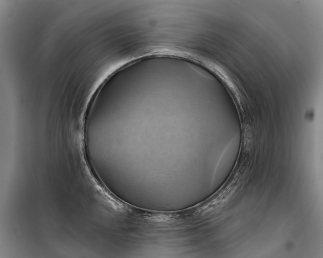 X0000101161048200807111024