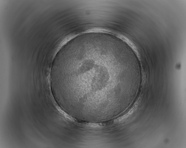 X0000101161049200807111024