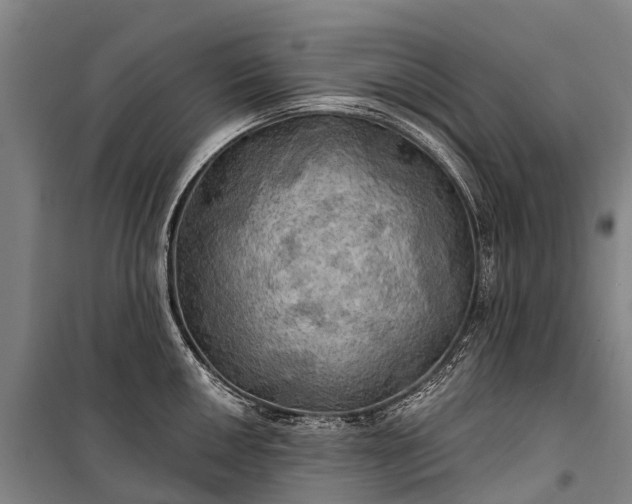 X0000101161050200807111024