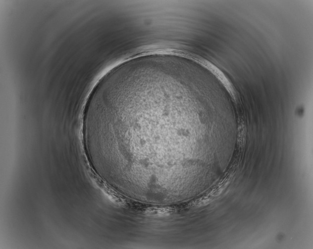 X0000101161051200807111024