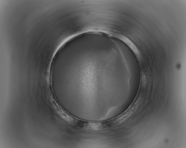 X0000101161052200807111024