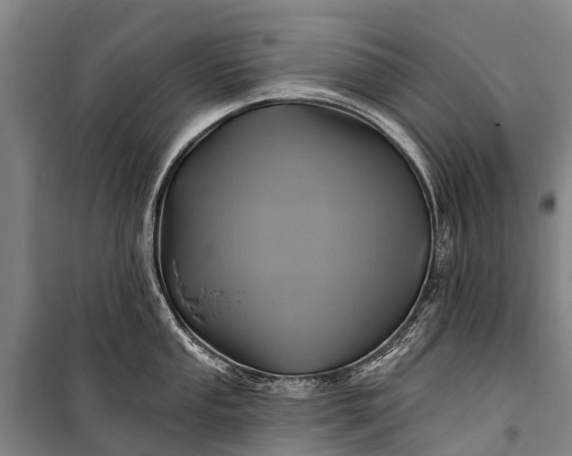 X0000101161053200807111024