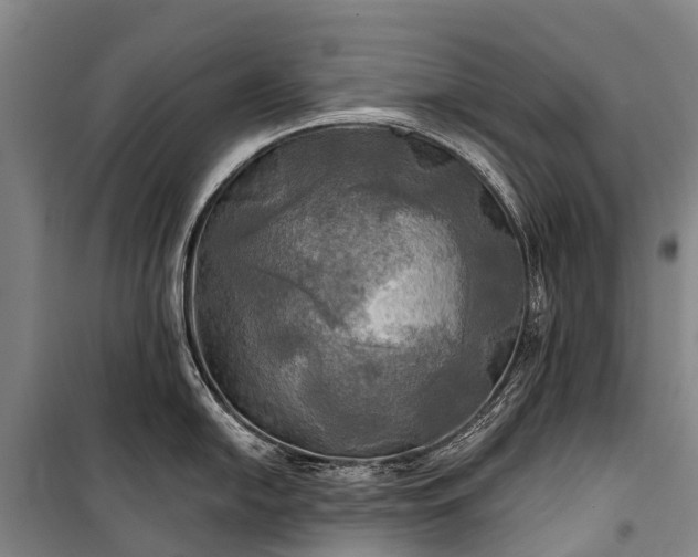 X0000101161054200807111024