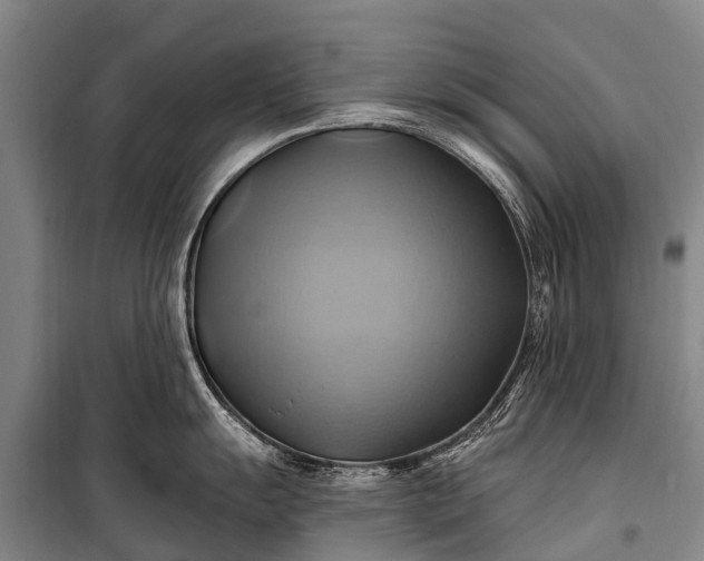 X0000101161055200807111024