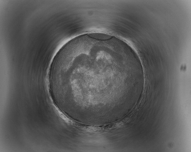 X0000101161056200807111024