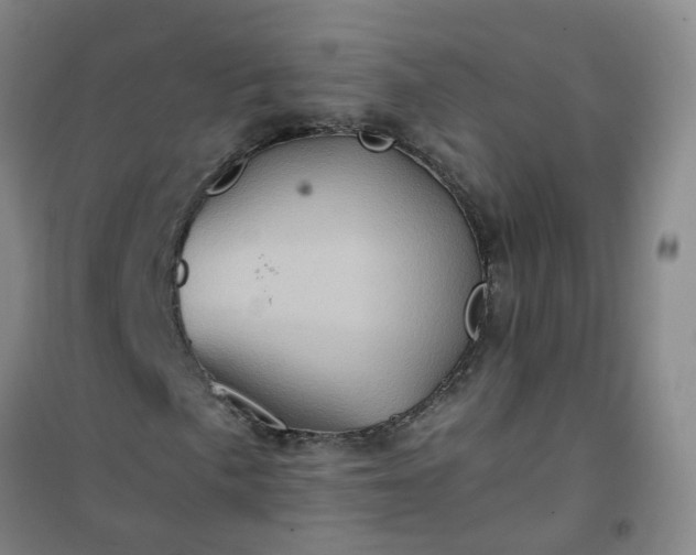 X0000101161057200807111023