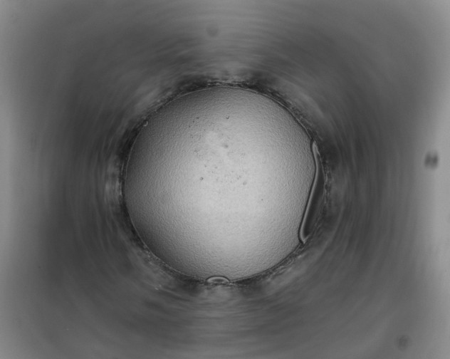 X0000101161058200807111023