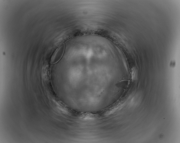 X0000101161059200807111023