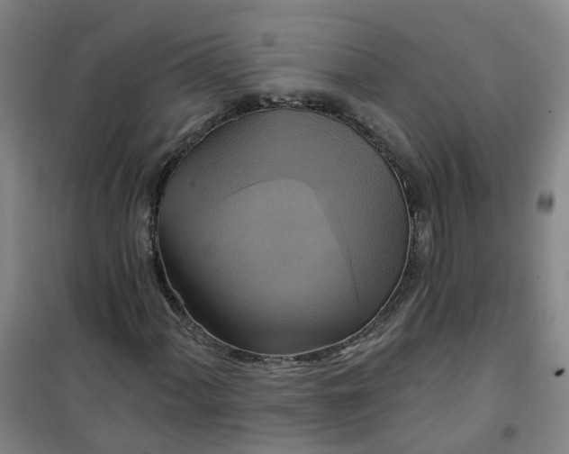 X0000101161060200807111023