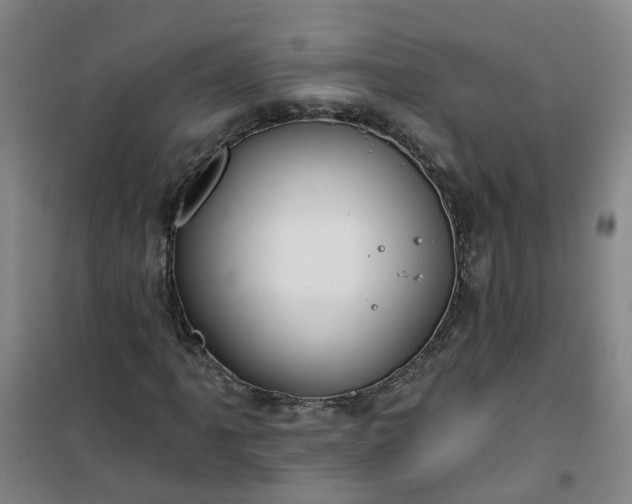 X0000101161061200807111023