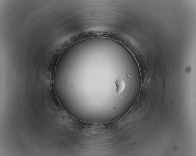 X0000101161062200807111023