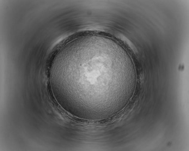 X0000101161064200807111023