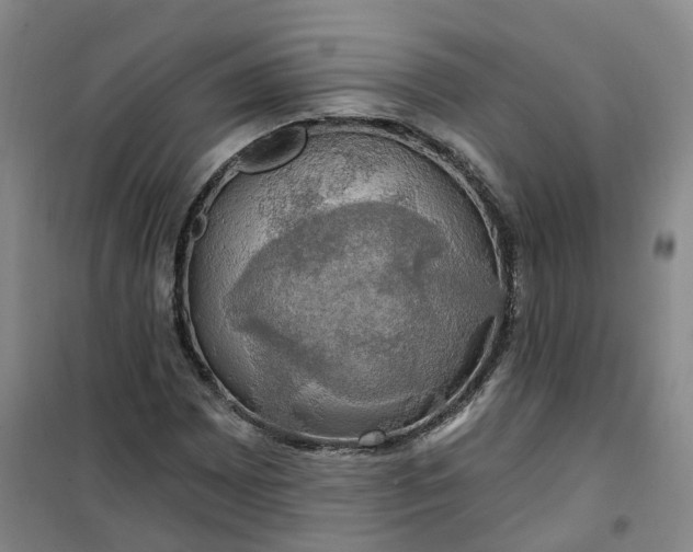 X0000101161065200807111023