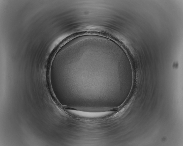 X0000101161066200807111023