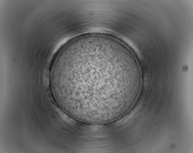 X0000101161067200807111023