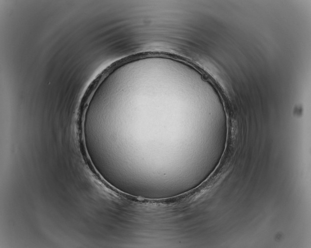 X0000101161068200807111023