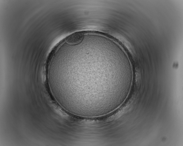 X0000101161069200807111023