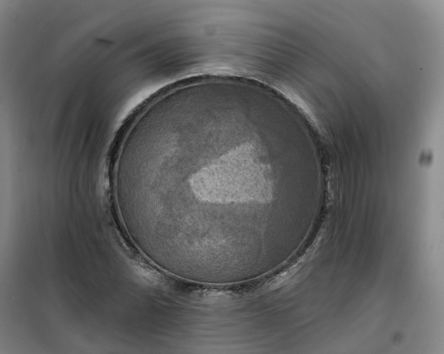 X0000101161070200807111023