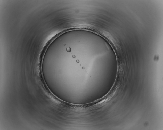 X0000101161071200807111023