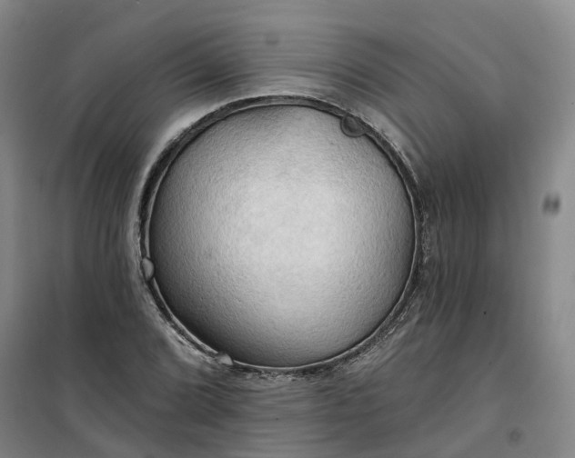 X0000101161072200807111023