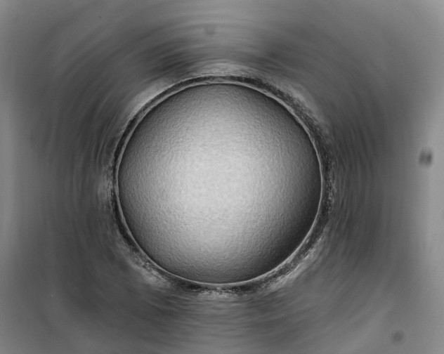 X0000101161073200807111023