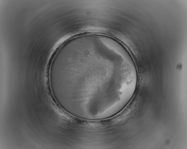 X0000101161074200807111023