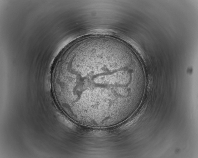 X0000101161075200807111023