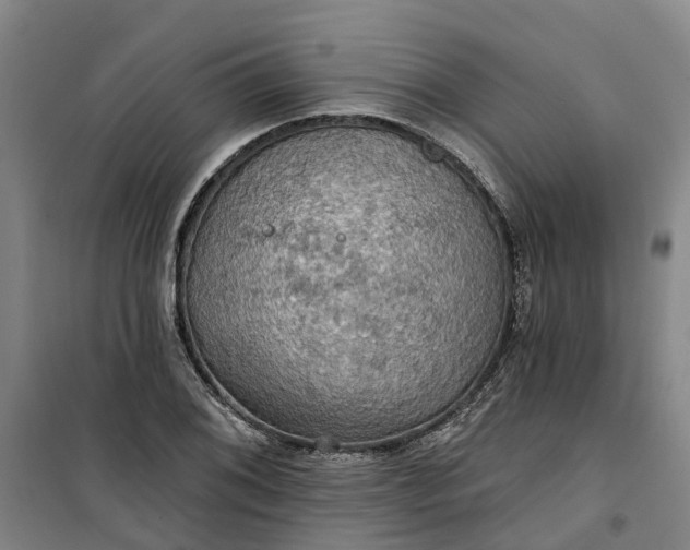 X0000101161076200807111023