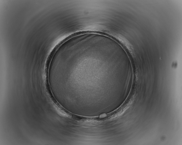 X0000101161077200807111023