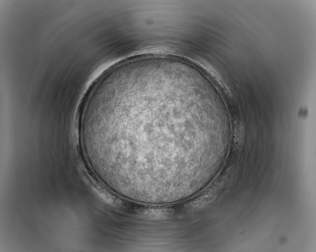 X0000101161078200807111023