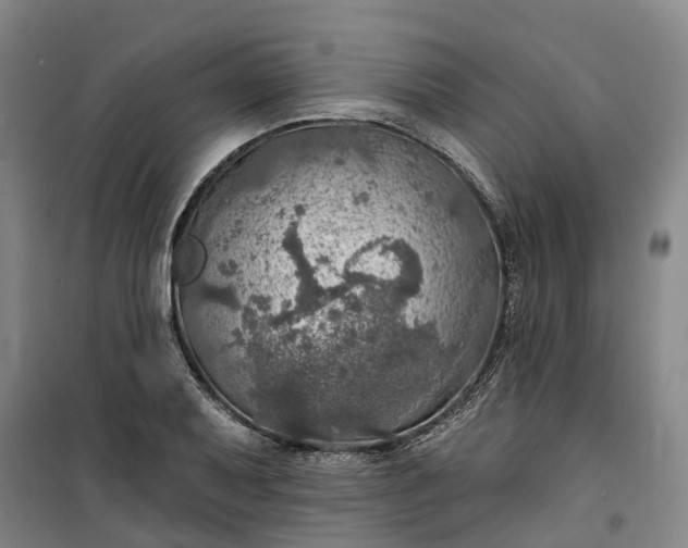 X0000101161079200807111023