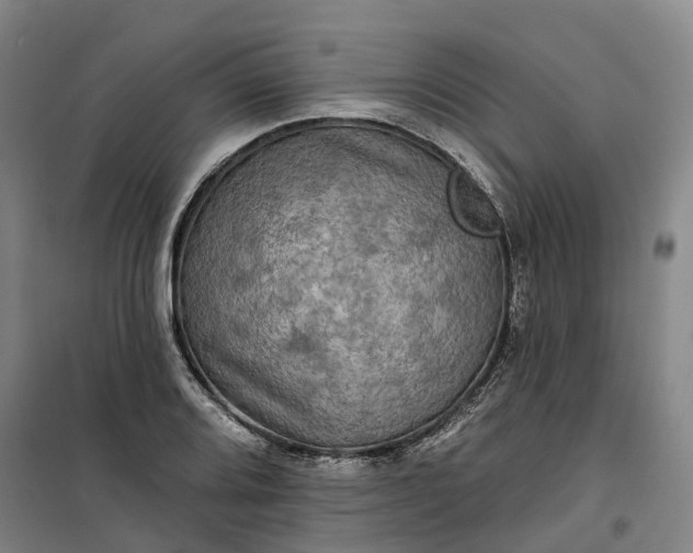 X0000101161080200807111023