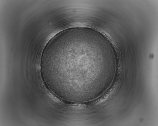 X0000101161081200807111023