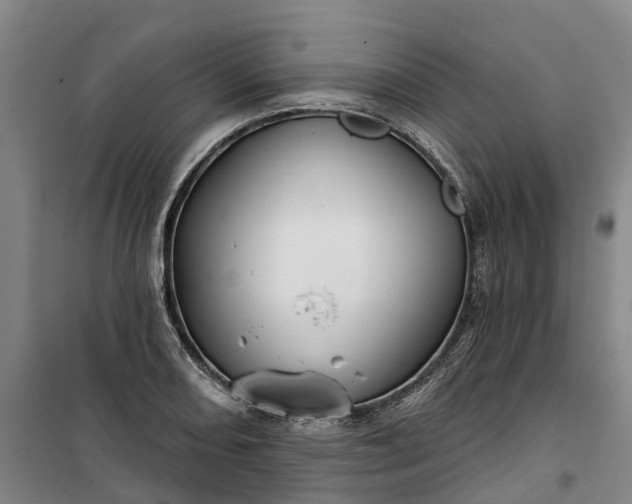 X0000101161082200807111023