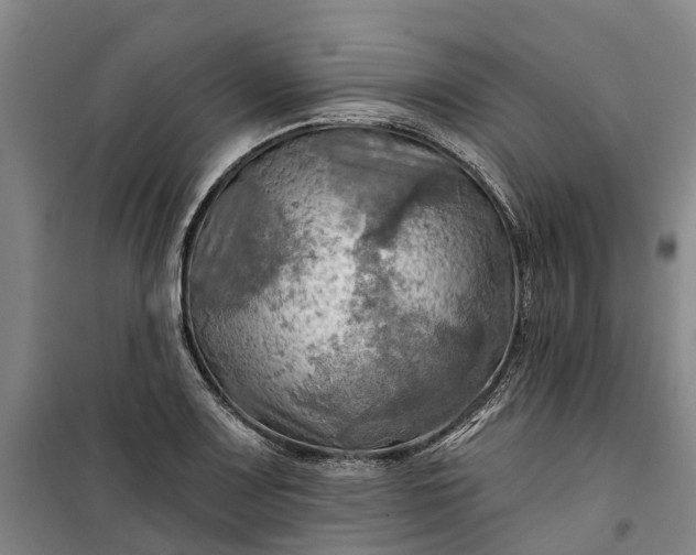 X0000101161083200807111023